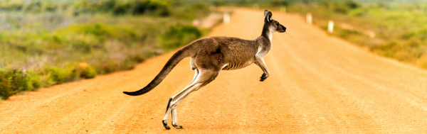 Fascinating Australia Tour
