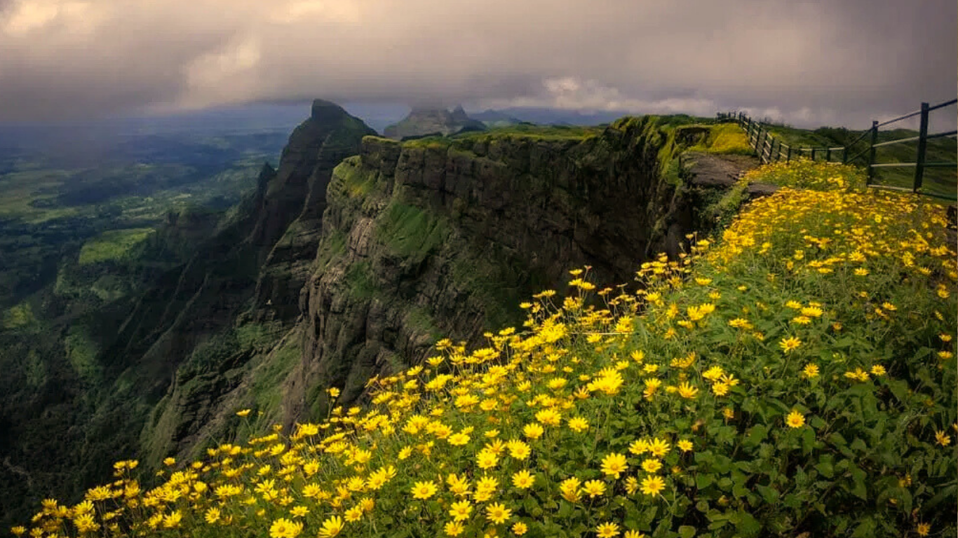 Monsoon Trekking in Maharashtra: A Magical Family Adventure
